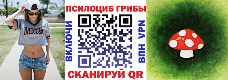 Галлюциногенные грибы MAGIC MUSHROOMS Фрязино