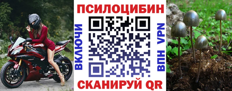 купить   Фрязино  Псилоцибиновые грибы ЛСД 